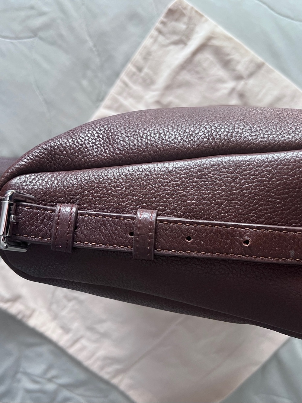 The Horse Plum Leather Shoulder Bag with Silver Hardware - Picture 9 of 12